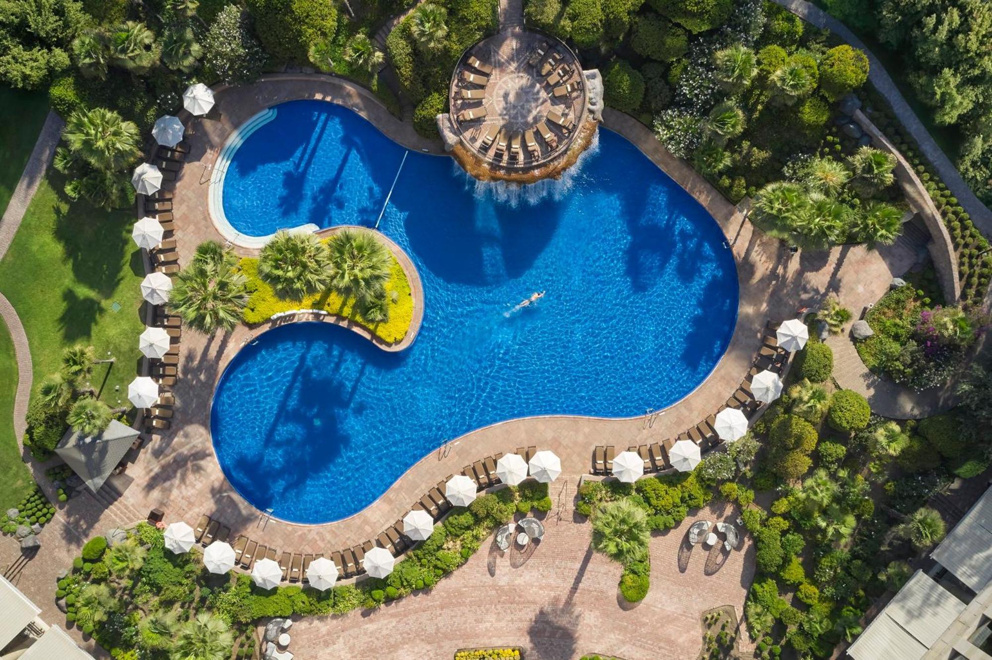 Mandarin Oriental, Santiago Hotell Eksteriør bilde The swimming pool at the hotel